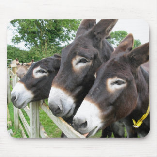 I Love Donkeys! Mouse Pad