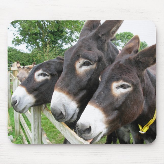 I Love Donkeys! Mouse Pad (Front)