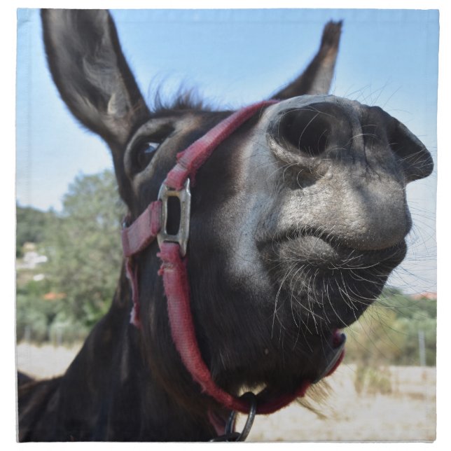 I Love Donkeys! Napkin (Front)