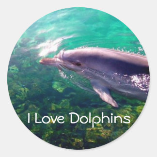 I Love Dophins Sticker