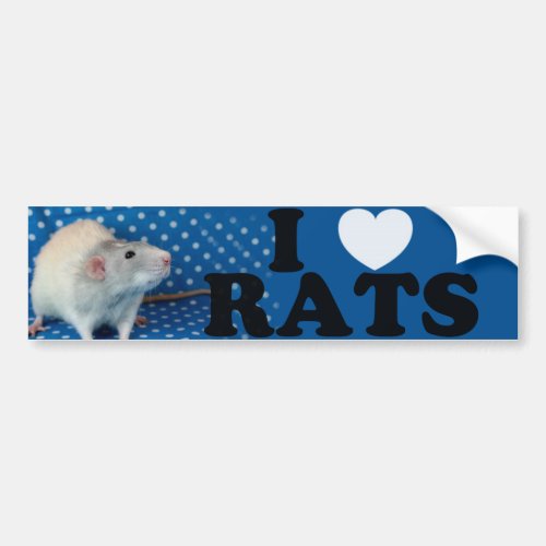 I love dove Rats Bumper Sticker