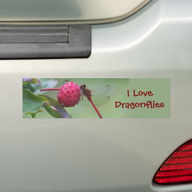 I Love Dragonflies Nature  Bumper Sticker (On Car)