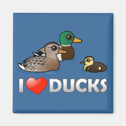 I Love Ducks Square Magnet