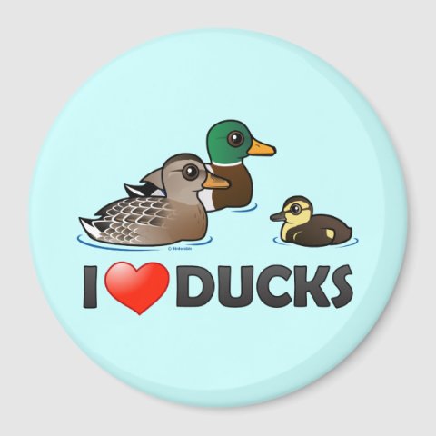 Pin on I love my ducks