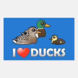 I Love Ducks Rectangle Sticker