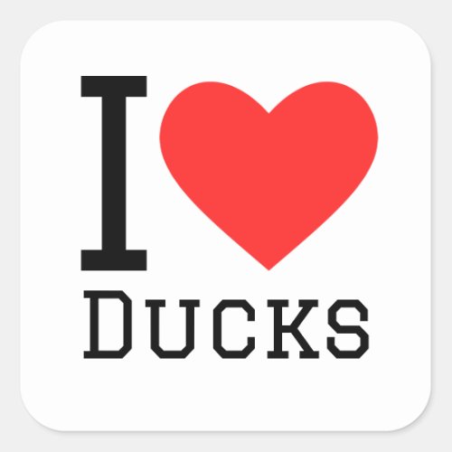 I love ducks  square sticker