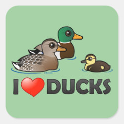 I Love Ducks Square Sticker