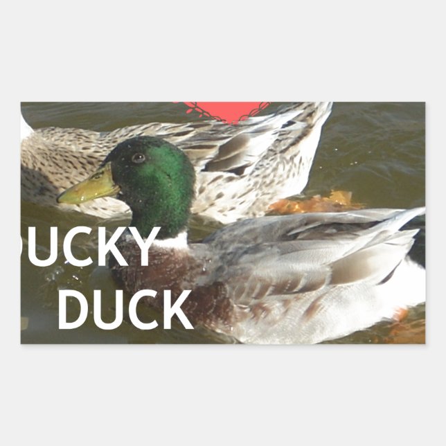 I Love Ducky Duck Mountains Design Rectangular Sticker (Front)