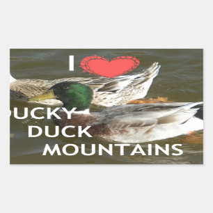 I Love Ducky Duck Mountains Design Rectangular Sticker