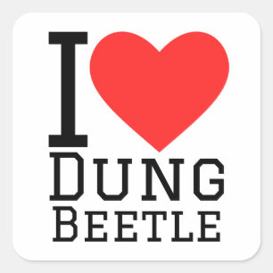 I love dung beetle square sticker