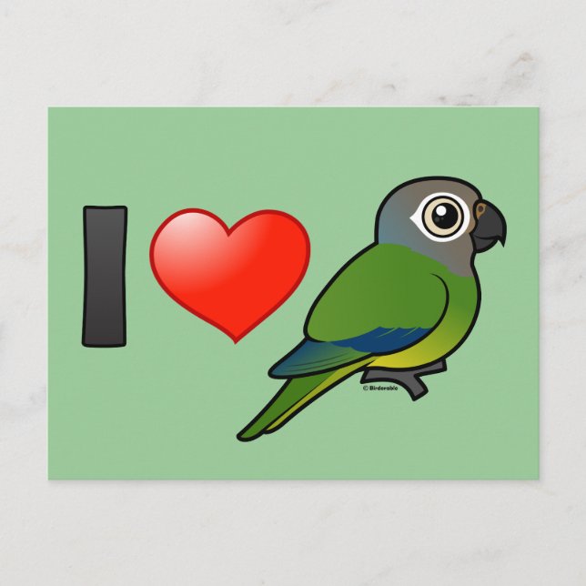 I Love Dusky-headed Conures Postcard (Front)
