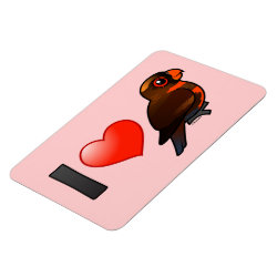 I Love Dusky Lories 4