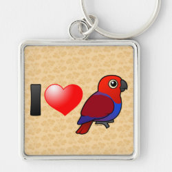 I Love Female Eclectus Parrots Premium Square Keychain