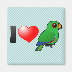 I Love Male Eclectus Parrots Square Magnet