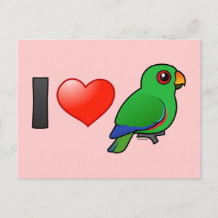 I Love Eclectus Parrots (male) Postcard