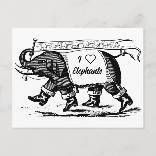 I Love Elephants Postcard