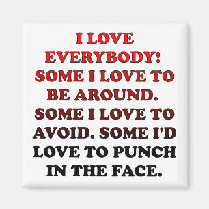 I Love Everybody Funny Fridge Magnet Refrigerator