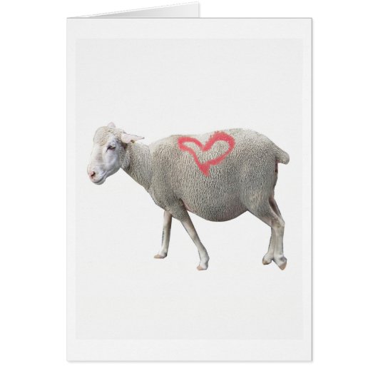 I Love Ewe Cards (Front)