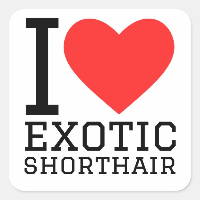 I love exotic shorthair  square sticker (Front)