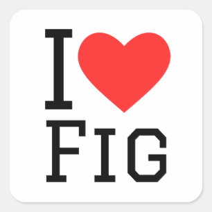 I love fig square sticker