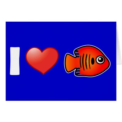I Love Flame Angelfish