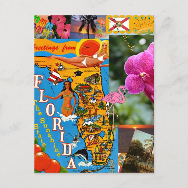 I Love Florida Postcard (Front)