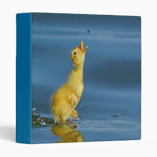 I Love Food! Avery Binder