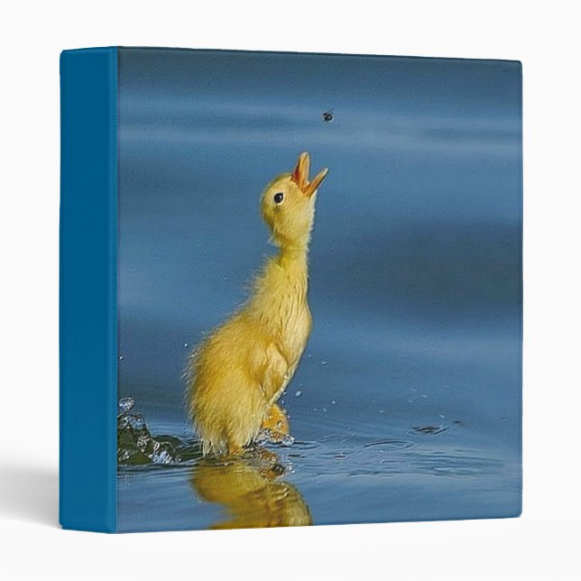 I Love Food! Avery Binder (Front/Spine)