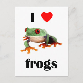 I Love Frogs Postcard