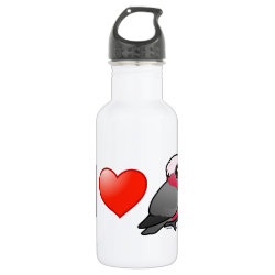 I Love Galas (relaxed crest) Water Bottle (24 oz)