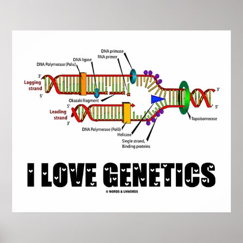 I Love Genetics DNA Replication Poster