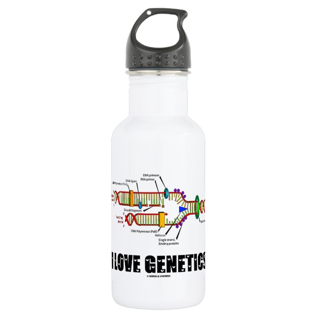 I Love Genetics (DNA Replication) Water Bottle (Front)
