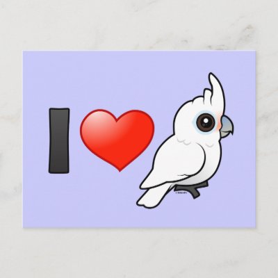 I Love Goffin's Cockatoos Postcard