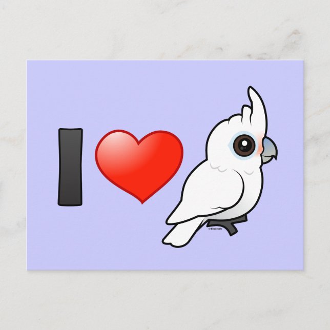 I Love Goffin's Cockatoos Postcard (Front)