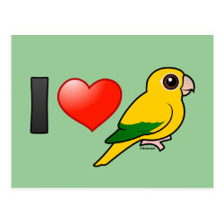 I Love Golden Conures Postcard