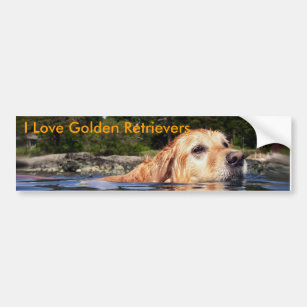 I Love Golden Retrievers - Bumper Sticker