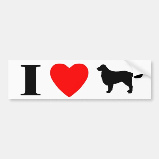 I Love Golden Retrievers Bumper Sticker | Zazzle