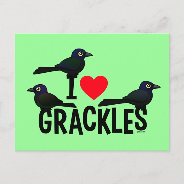 I Love Grackles Postcard (Front)