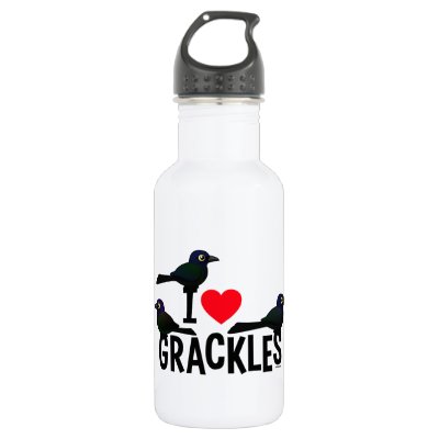 I Love Grackles Stainless Steel Water Bottle