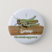 I Love Grasshoppers Button Badge Name Tag at Zazzle