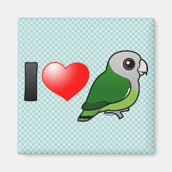I Love Gray-headed Lovebirds Square Magnet
