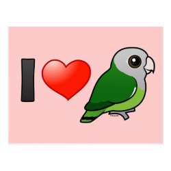 I Love Gray-headed Lovebirds Postcard
