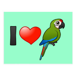 I Love Great Green Macaws Postcard