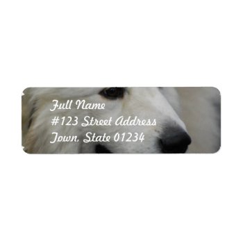 I Love Great Pyrenees Mailing Labels by DogPoundGifts at Zazzle