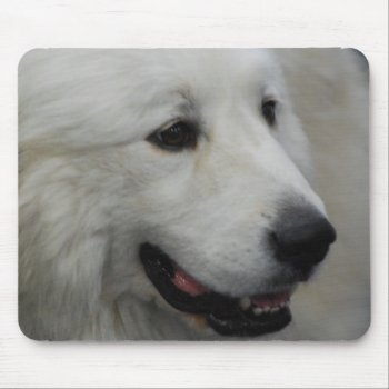 I Love Great Pyrenees  Mouse Pad by DogPoundGifts at Zazzle