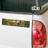 I love Groundhog Day bumper sticker (On Truck)