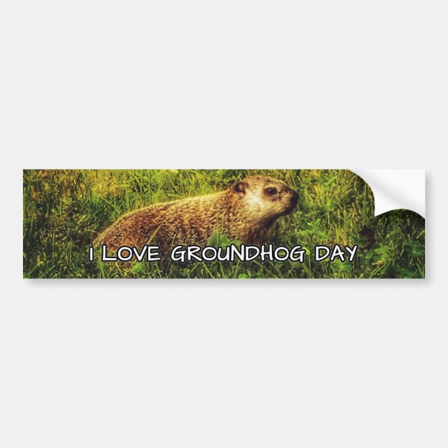 I love Groundhog Day bumper sticker (Front)