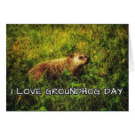 I love Groundhog Day greeting card