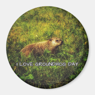I love Groundhog Day magnet