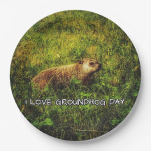 I love Groundhog Day plates